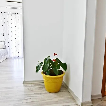 Klimatisierte In Valica Mit Grossem Garten Umag